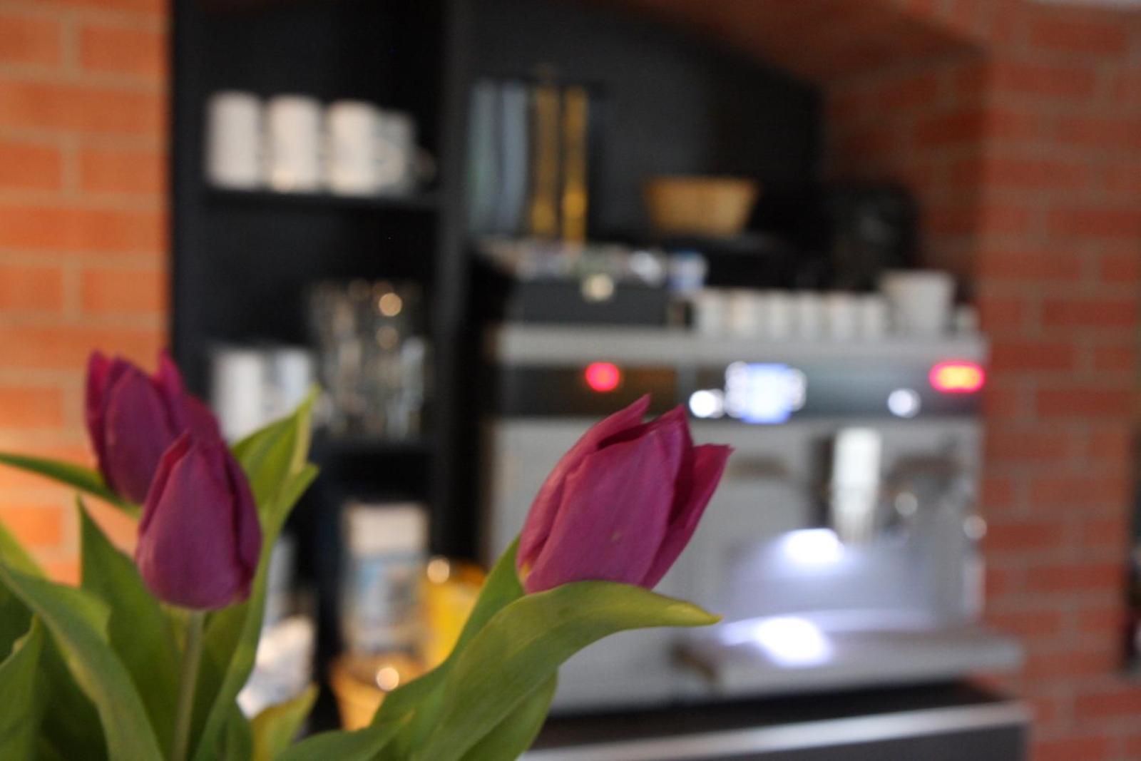 Sl'Otel Budget Bernburg Ngoại thất bức ảnh